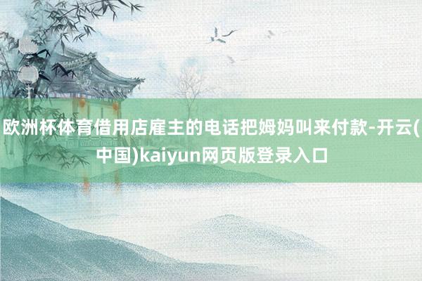 欧洲杯体育借用店雇主的电话把姆妈叫来付款-开云(中国)kaiyun网页版登录入口