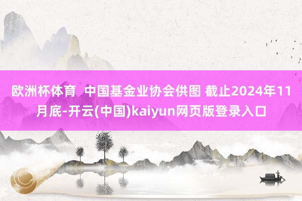 欧洲杯体育  中国基金业协会供图 截止2024年11月底-开云(中国)kaiyun网页版登录入口