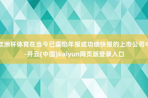 欧洲杯体育在当今已露馅年报或功绩快报的上市公司中-开云(中国)kaiyun网页版登录入口