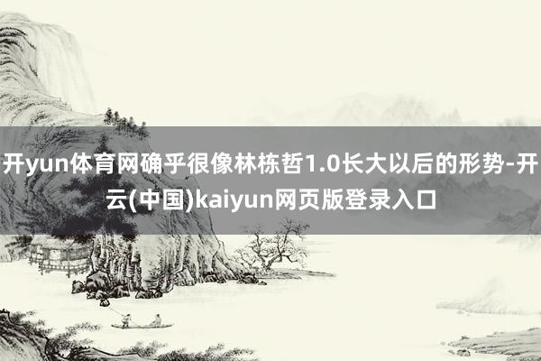 开yun体育网确乎很像林栋哲1.0长大以后的形势-开云(中国)kaiyun网页版登录入口
