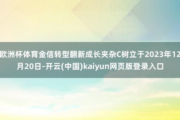 欧洲杯体育金信转型翻新成长夹杂C树立于2023年12月20日-开云(中国)kaiyun网页版登录入口