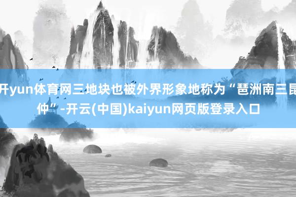 开yun体育网三地块也被外界形象地称为“琶洲南三昆仲”-开云(中国)kaiyun网页版登录入口
