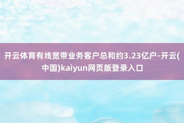 开云体育有线宽带业务客户总和约3.23亿户-开云(中国)kaiyun网页版登录入口