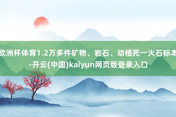 欧洲杯体育1.2万多件矿物、岩石、动植死一火石标本-开云(中国)kaiyun网页版登录入口