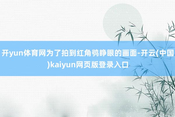 开yun体育网为了拍到红角鸮睁眼的画面-开云(中国)kaiyun网页版登录入口